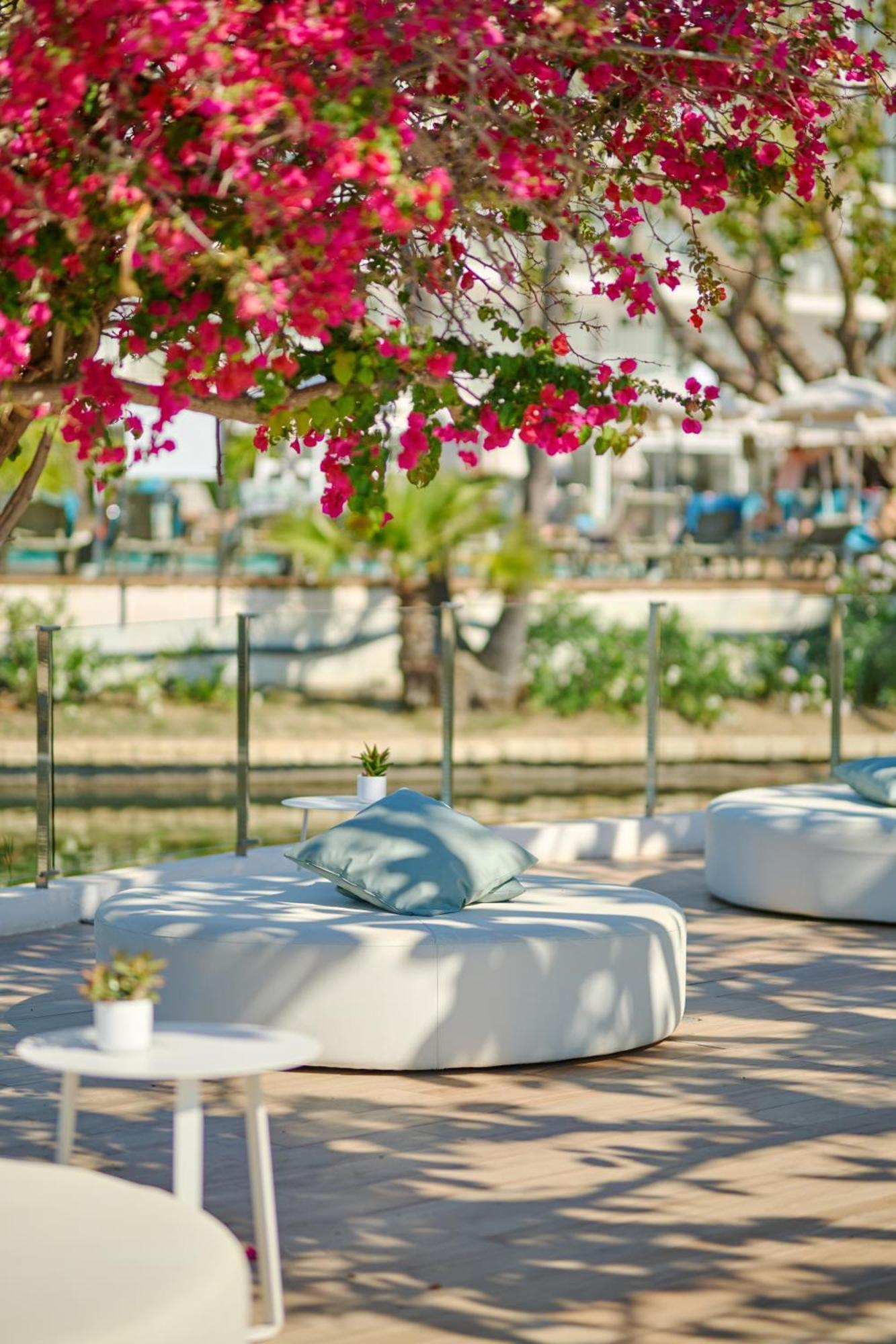 Hotel Alua Boccaccio à Port d'Alcúdia Extérieur photo